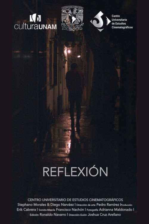 Movie poster for Reflection (2018)