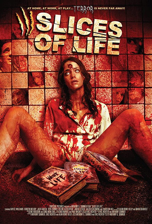 Movie poster for Slices of Life (2010)