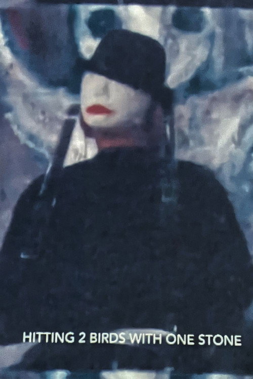 Movie poster for Hitting Two Birds With One Stone
