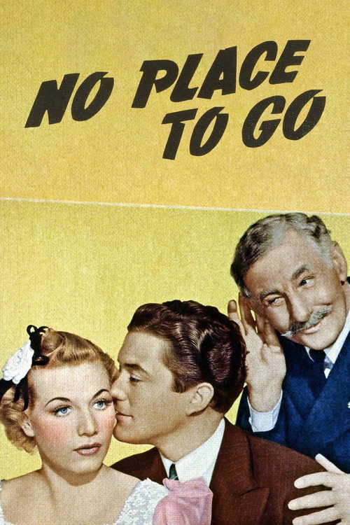 Movie poster for No Place to Go (1939)