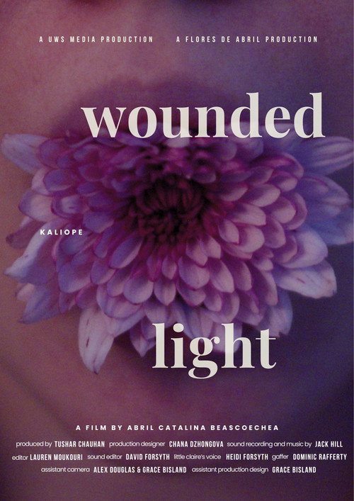 Movie poster for Wounded Light (2026)