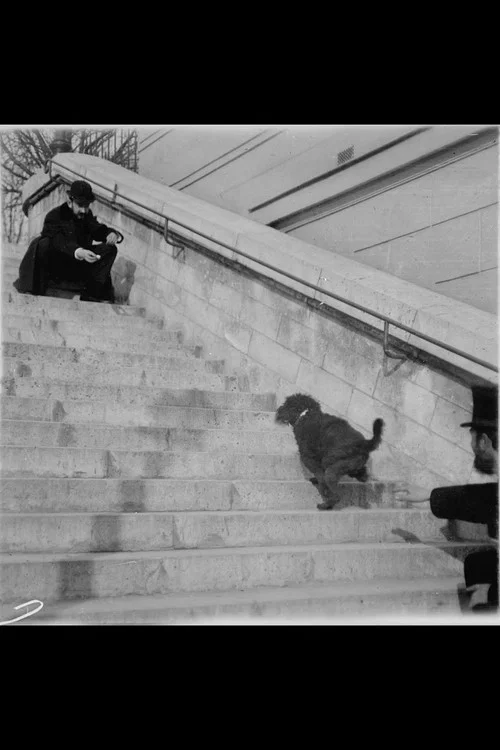 Movie poster for Chien, Caniche Noir Descendant et Montant Un Escalier (1897)