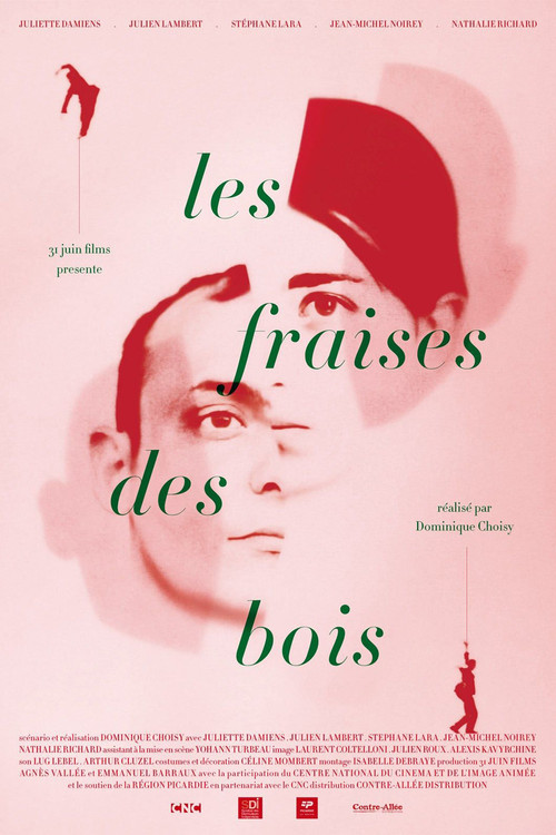 Movie poster for Wild Strawberries (2012)