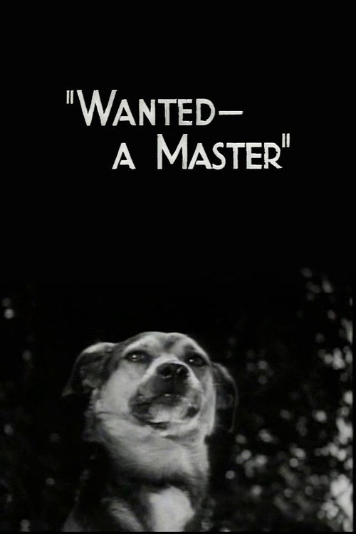 Movie poster for Wanted - A Master (1936)