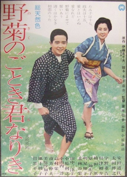 Movie poster for She Was Like a Wild Chrysanthemum (1966)
