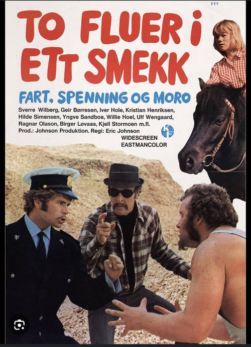 Movie poster for To fluer i ett smekk (1973)