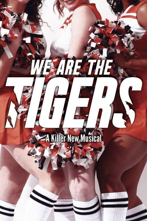 Movie poster for We Are The Tigers