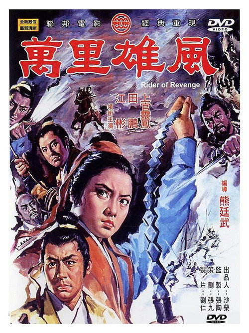 Movie poster for Rider of Revenge (1971)