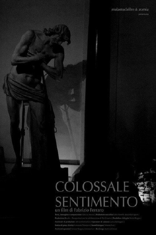 Movie poster for Colossale sentimento (2016)