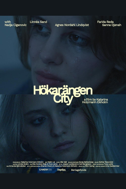 Movie poster for Hökarängen City