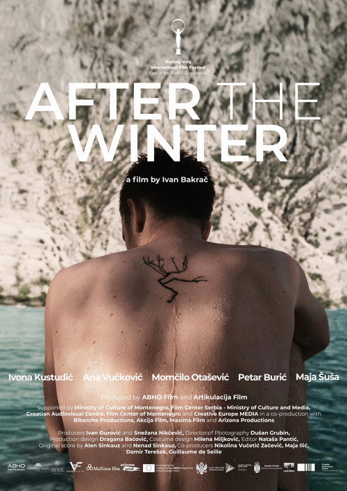 Movie poster for After the Winter (2022)
