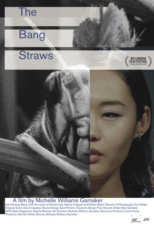 Movie poster for The Bang Straws (2021)