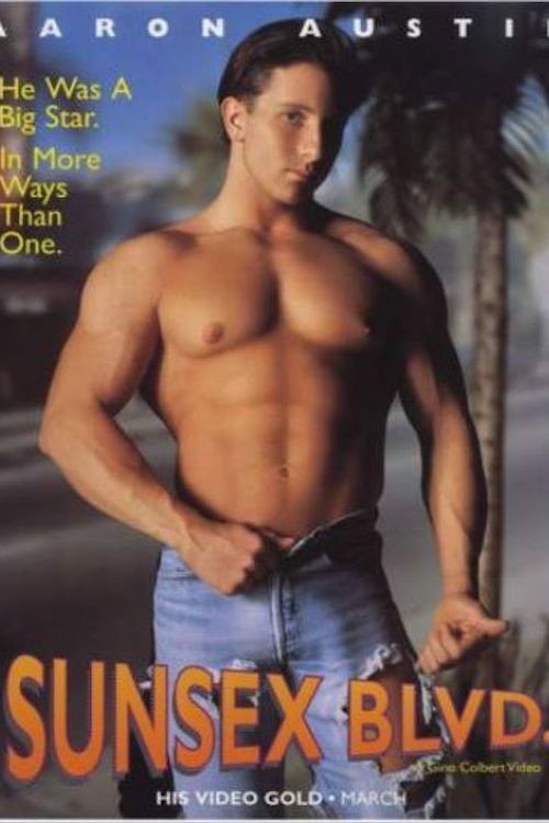 Movie poster for Sunsex Blvd (1994)