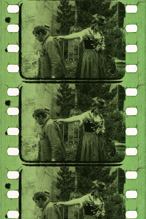 Movie poster for Der Sonnwendhof (1918)