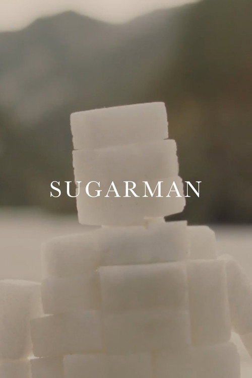 Movie poster for Sugarman (2013)