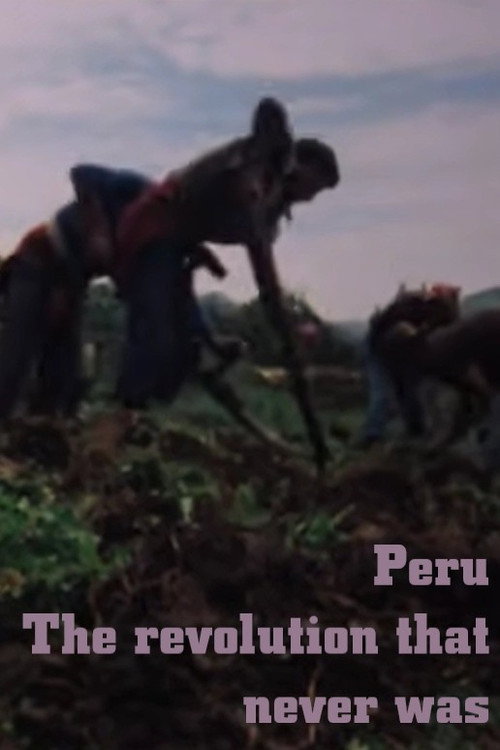 Movie poster for Peru: The Revolution that never was (1979)