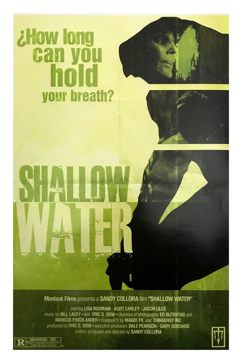 Movie poster for Shallow Water (2017)