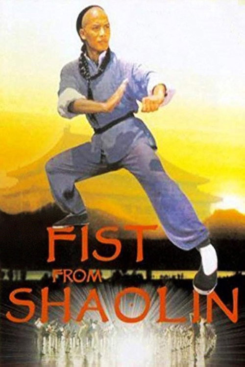Movie poster for Fist from Shaolin (1993)