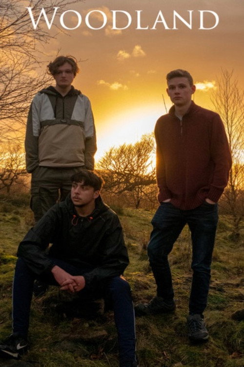 Movie poster for Woodland (2022)