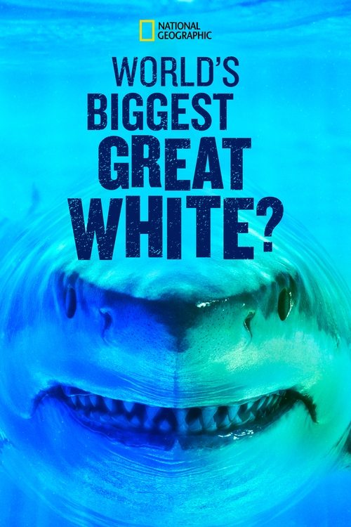 Movie poster for World's Biggest Great White? (2019)