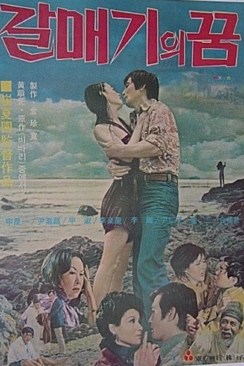 Movie poster for A Seagull's Dream (1974)