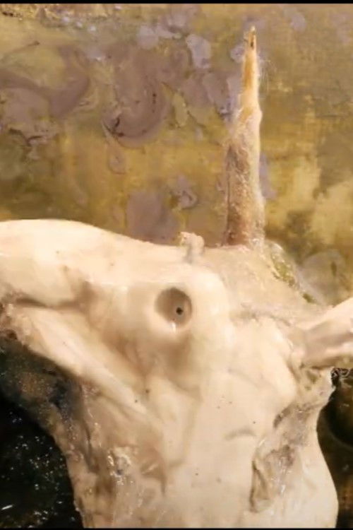 The Song the Unicorn Listens To poster