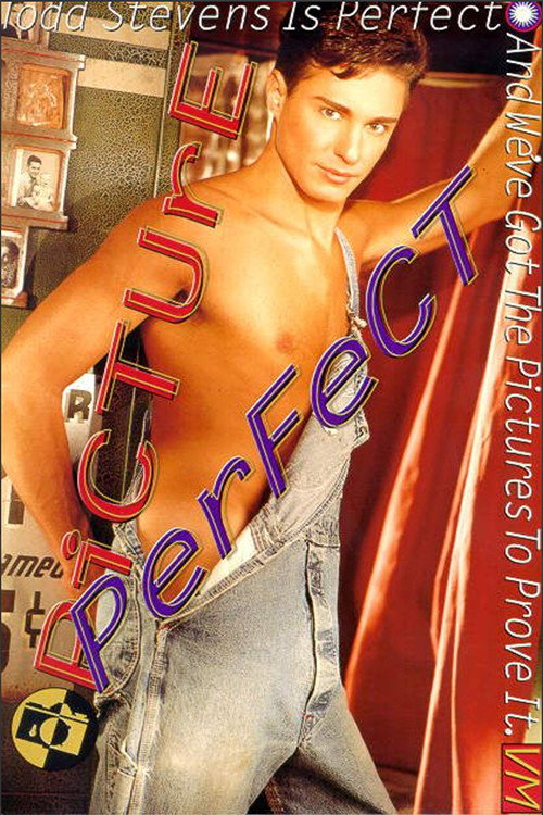 Movie poster for Picture Perfect (1996)