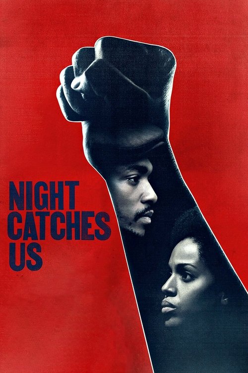 Movie poster for Night Catches Us (2010)