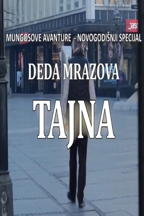 Movie poster for Santa's Secret (2022)