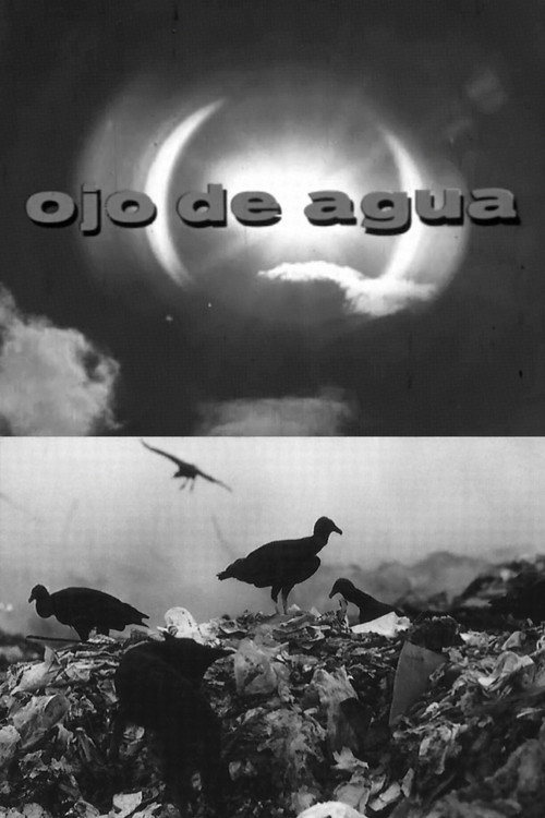 Movie poster for Ojo de Agua (1972)