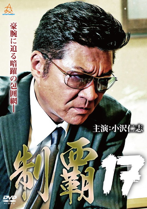 Movie poster for Conquest 17 (2018)