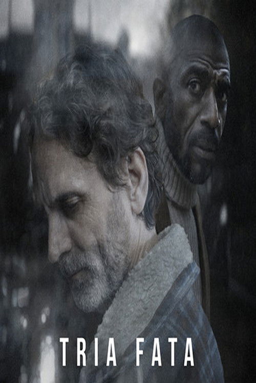 Movie poster for Tria Fata (2025)