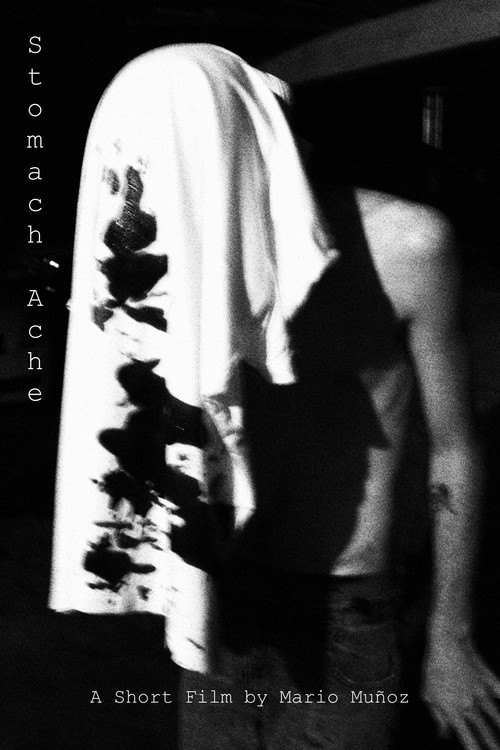 Movie poster for Stomach Ache (2019)