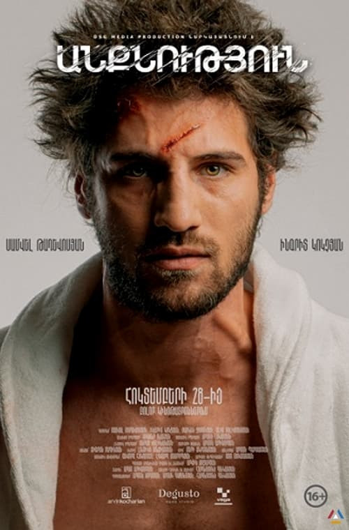 Movie poster for Insomnia (2022)