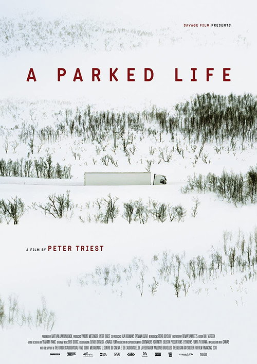 Movie poster for A Parked Life (2022)