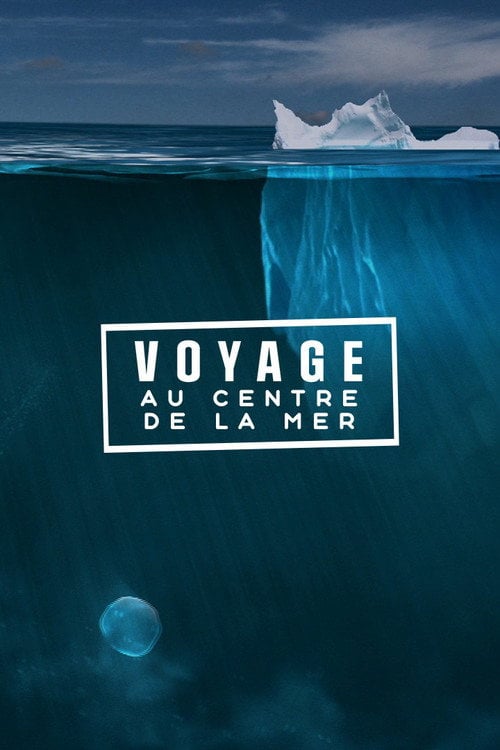 Movie poster for Voyage au centre de la mer (2013)