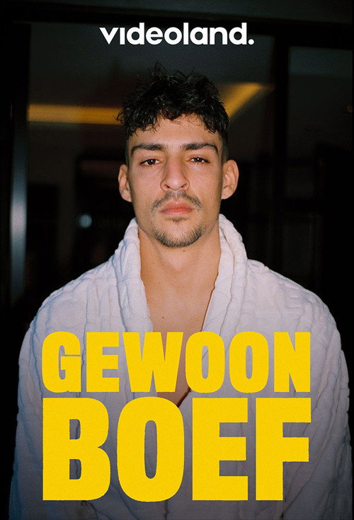 Series poster for Gewoon Boef (2020)