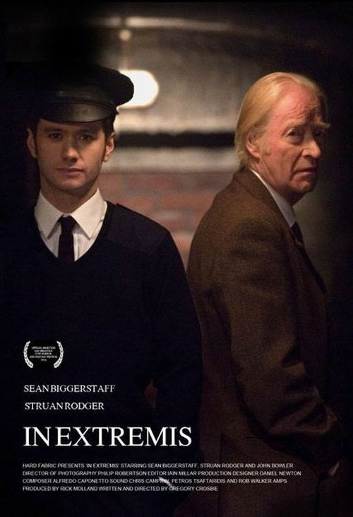 Movie poster for In Extremis (2014)