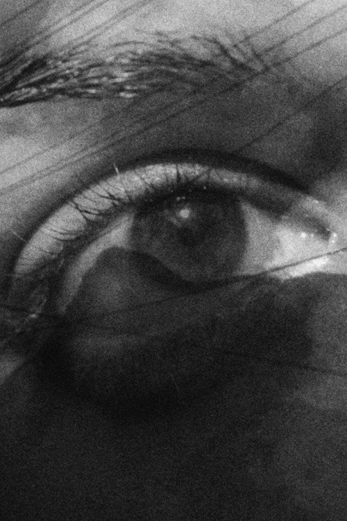 Movie poster for Looking through a Glass Darkly (2023)