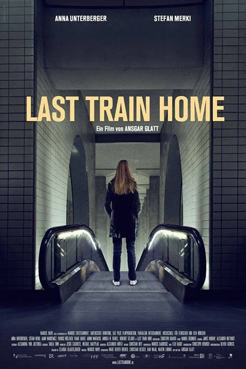 Movie poster for Last Train Home (2015)