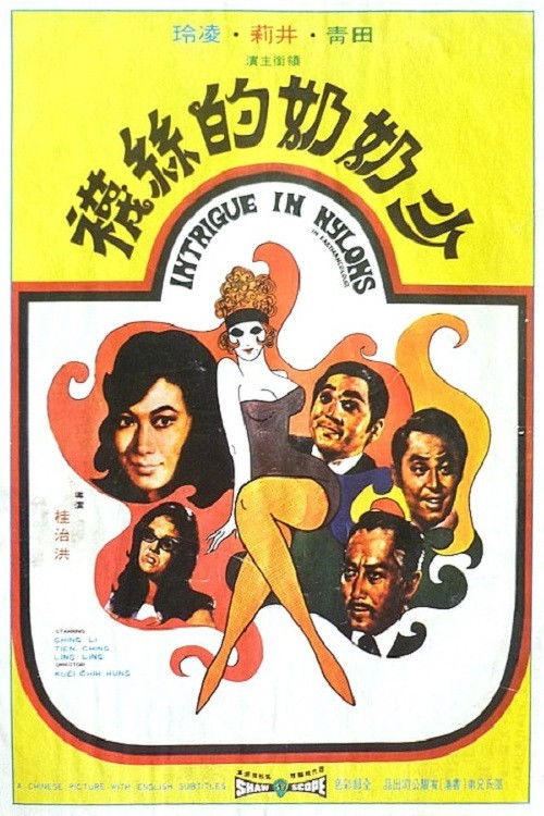 Movie poster for Intrigue in Nylons (1972)