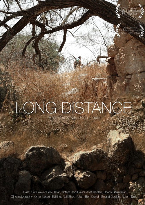 Movie poster for Long Distance (2015)