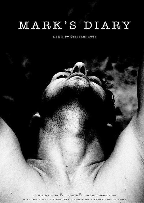 Movie poster for Mark's Diary (2019)