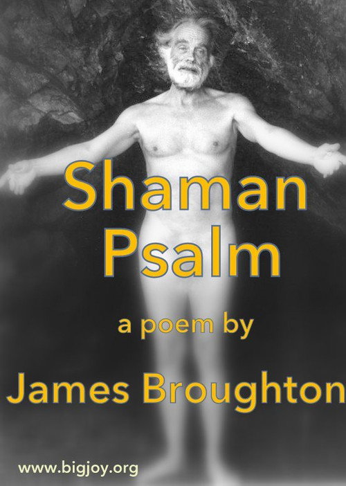 Movie poster for Shaman Psalm (1981)