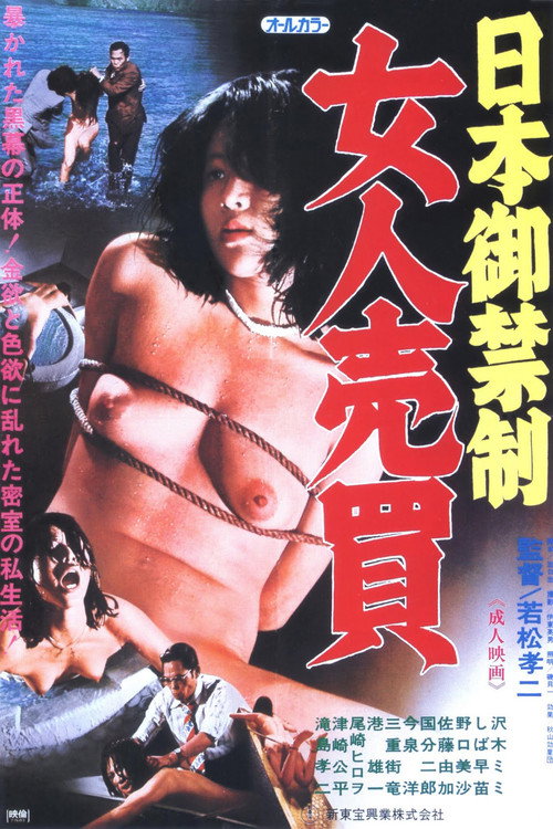 Movie poster for Prohibition In Japan: Female Trafficking (1977)