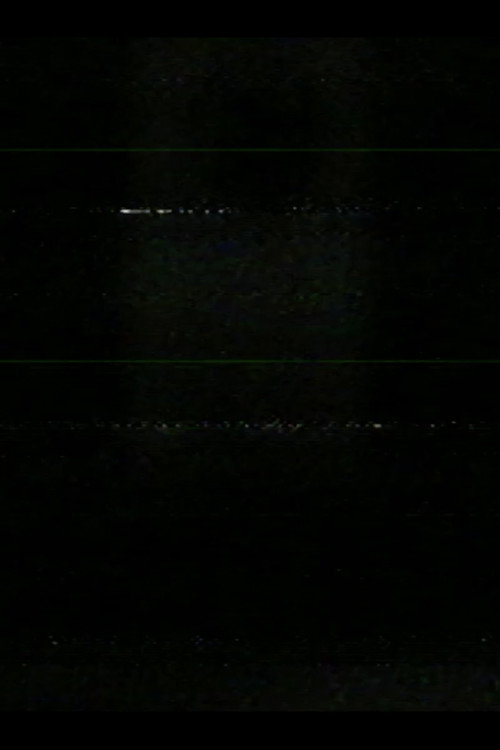 Movie poster for window at night (2025)