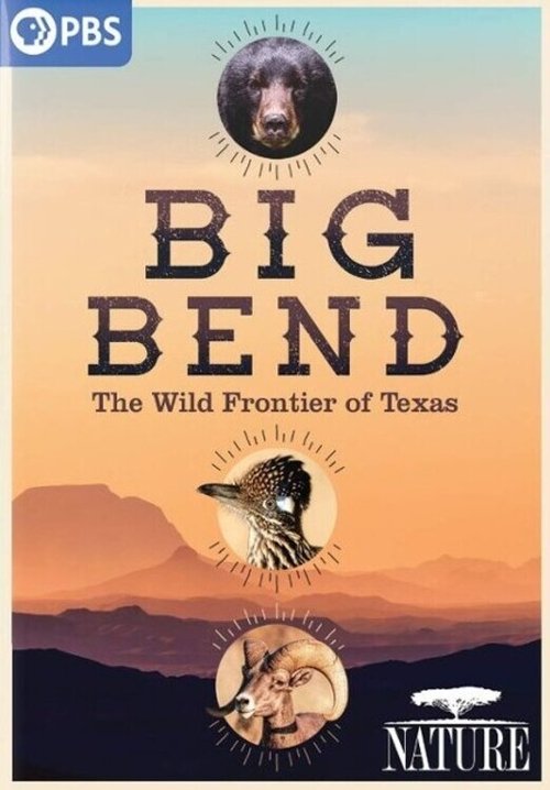 Movie poster for Big Bend: The Wild Frontier of Texas (2021)