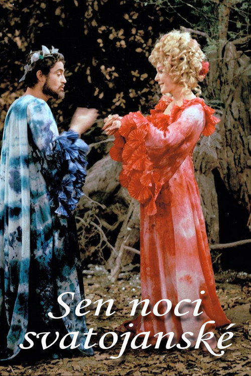 Movie poster for Sen noci svatojánské (1974)