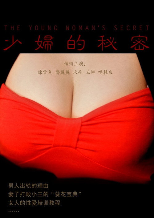 Movie poster for 少妇的秘密 (2011)