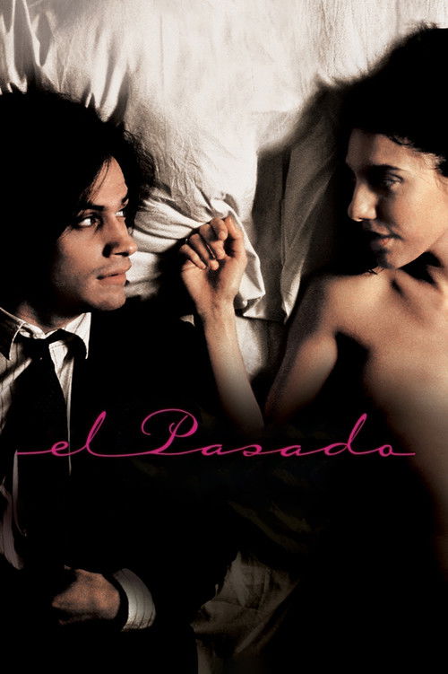 Movie poster for The Past (2007)